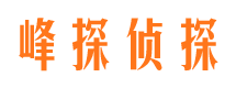 武进侦探